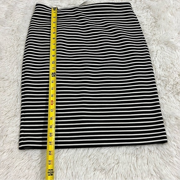 Ann Taylor LOFT Stripe Pencil Skirt Med NWT - Picture 4 of 10
